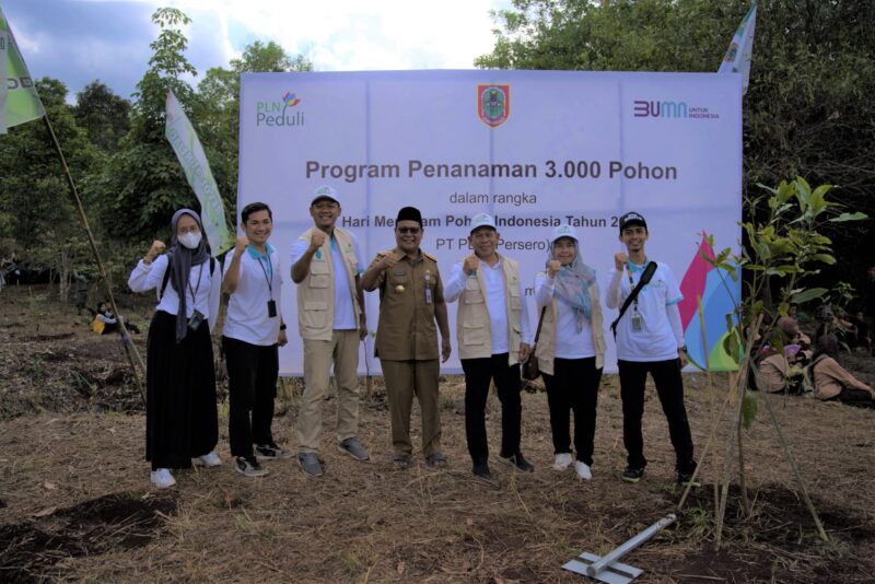 Hari Menanam Pohon Indonesia, PLN Ajak Gubernur Kalsel Tanam 2.000 Pohon. (Foto : Istimewa)