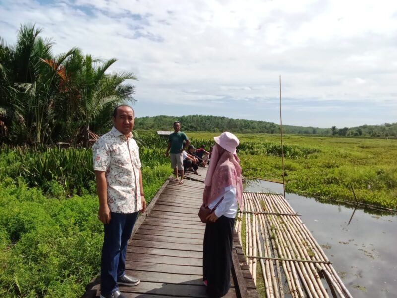Anggota Komisi III DPRD Balangan Hafis Ansyari meninjau lokasi putusnya jembatan di Desa Ambuin. (Foto : Istimewa)