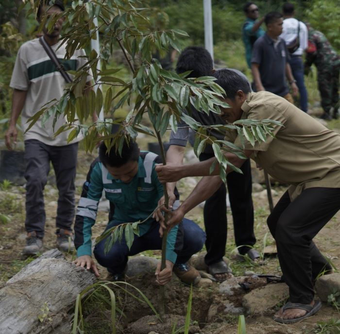 Sebanyak 600 Pohon berupa bibit pohon produktif seperti pohon durian, rambutan, alpukat. (Foto : Istimewa)