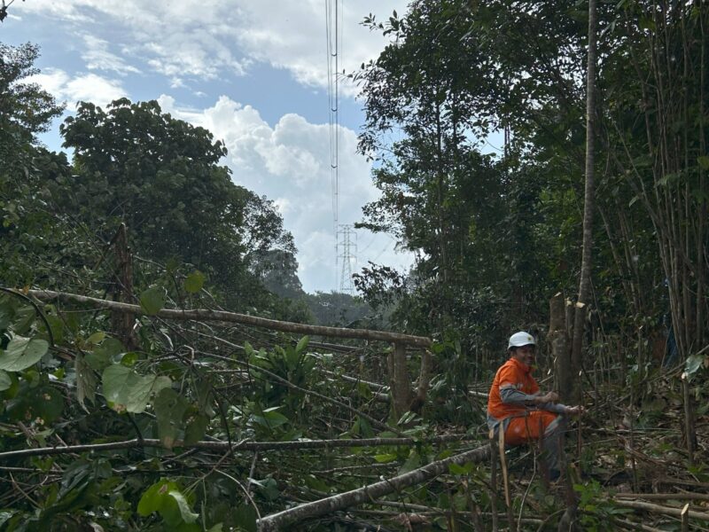 Tim Grebek Right of Way (ROW) UPT melaksanakan penebangan pohon yang berada di bawah jalur transmisi Muara Teweh-Buntok