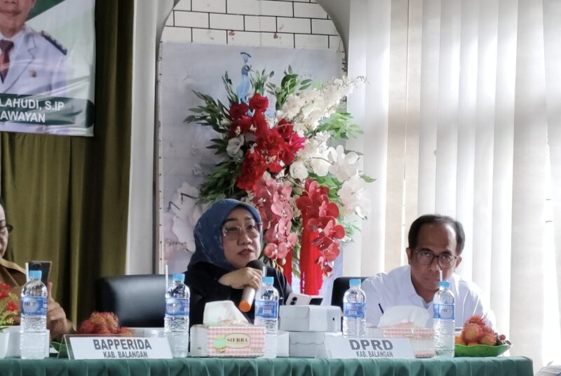 Anggota DPRD Balangan, Nur Fariani menghadiri Musyawarah perencanaan pembangunan (Musrenbang). (Foto : Istimewa)