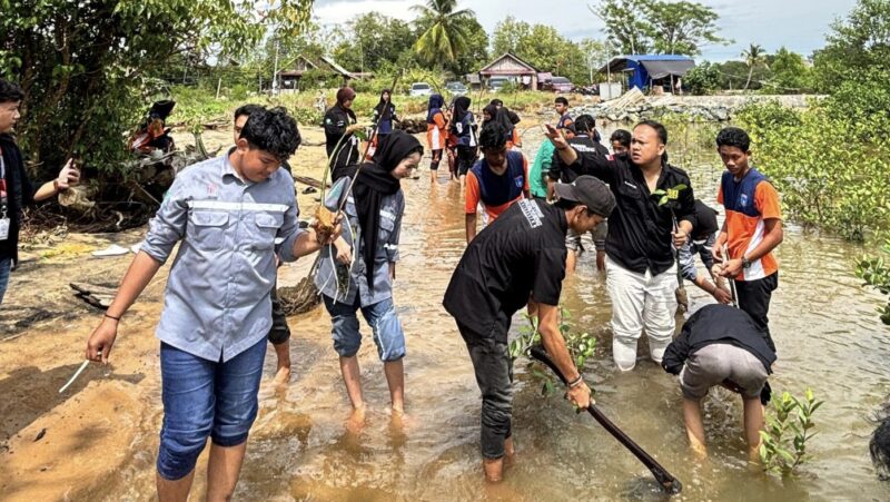 SMAN 1 Kusan Hilir bekerjasama dengan Politeknik Batulicin melaksanakan kegiatan penanaman pohon bakau di Muara Ujung Pagatan. (Foto : Istimewa)