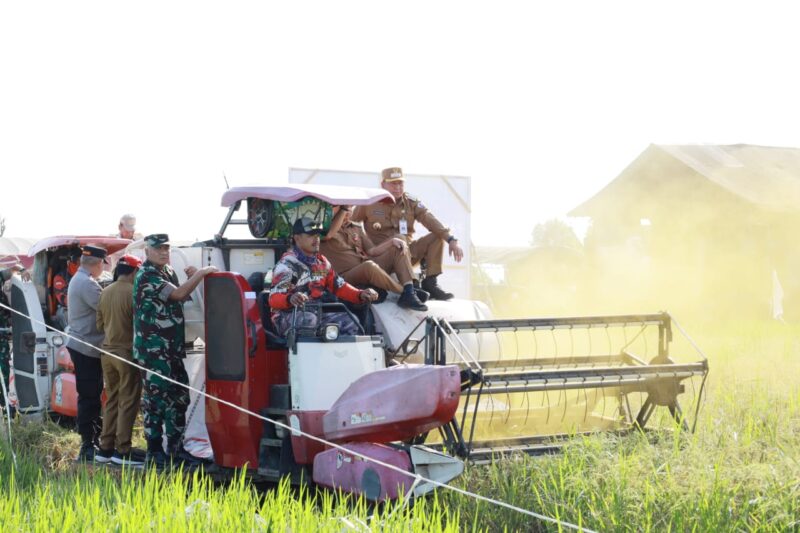 Panen Raya Padi secara serentak di 14 Provinsi dan 198 Kabupaten/Kota bersama 5.702 petani. Salah satunya dilaksanakan di Kabupaten Barito Kuala, Kalimantan Selatan. (Foto : Istimewa)