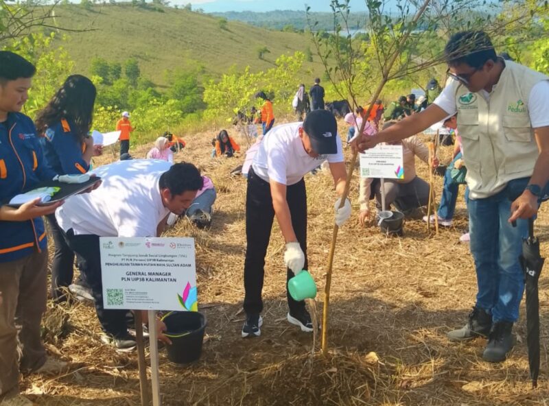 PT PLN (Persero) berperan aktif kelestarian lingkungan dengan berbagai jenis bibit pohon di beberapa titik di kawasan wisata Bukit Batu yang berada di Tiwingan Lama, Kecamatan Aranio, Kabupaten Banjar. (Foto : wasaka.id)