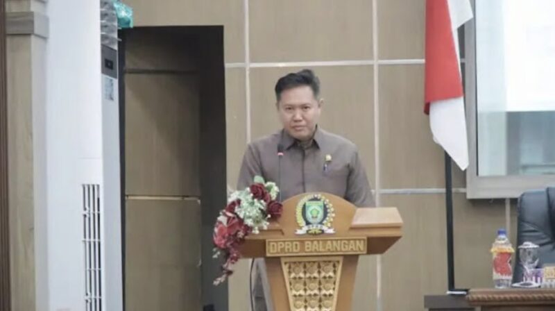 Perwakilan Fraksi Demokrasi Maju DPRD Kabupaten Balangan, Saiful Arif menyampaikan pandangan umum terhadap Rancangan Peraturan Daerah (Raperda) tentang Pertanggungjawaban Pelaksanaan APBD Tahun Anggaran 2024. (Foto : Istimewa)