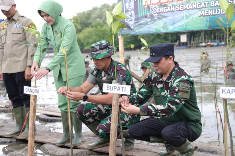 Penanaman mangrove di wilayah pesisir Kelurahan Tungkaran Pangeran, Kecamatan Simpang Empat dalam rangka memperingati HUT ke-67 Kodam VI/Mulawarman. (Foto : Istimewa)