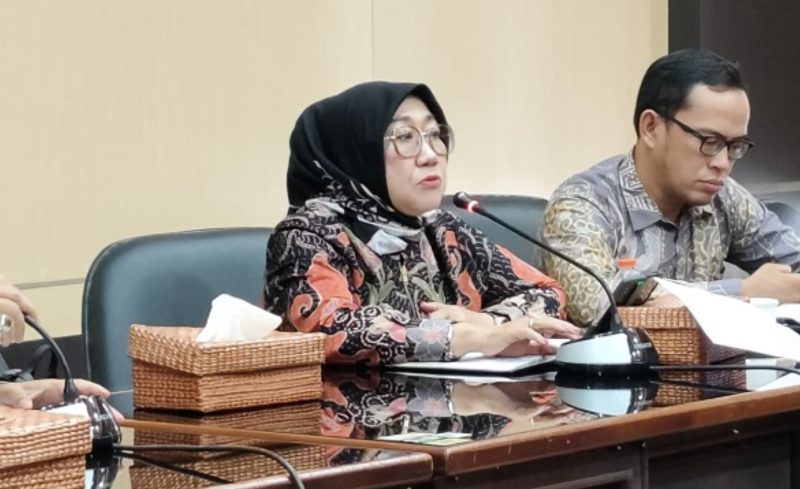 Anggota DPRD Balangan, Nur Fariani. (Foto : Istimewa)
