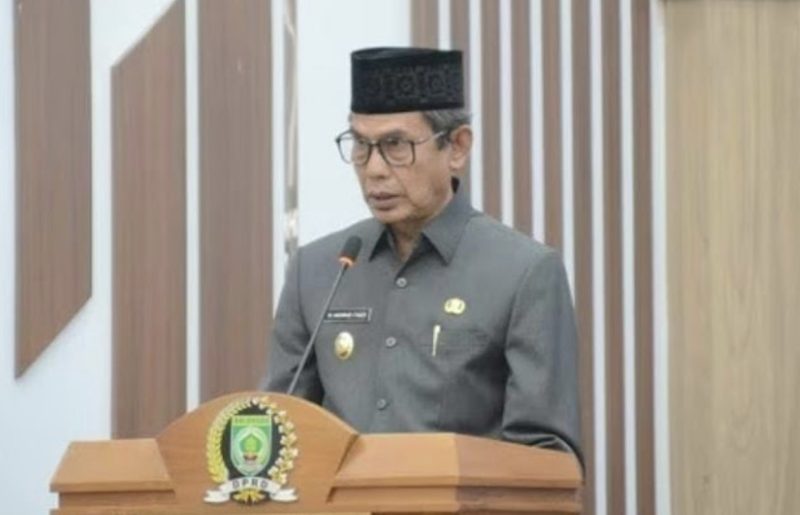 Wakil Bupati Balangan, H Akhmad Fauzi. (Foto: Istimewa)