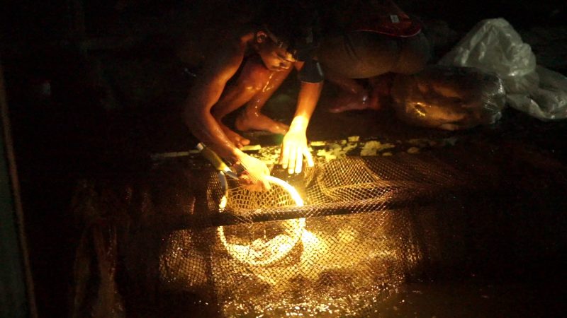 Potret petani ikan Pokdakan Nila Balap Maju Mapan memanfaatkan aerator listrik bantuan PLN untuk menjaga produktivitas tambak di Loa Kulu, (15/10).