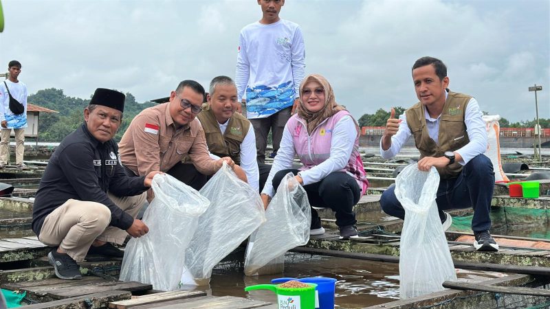 Di tengah hamparan keramba Sungai Mahakam, PLN UIP3B Kalimantan dan UP2B Kalimantan Timur bersama masyarakat setempat terlihat kompak menebar bibit ikan nila sebagai simbol dimulainya penguatan keberlanjutan budidaya air tawar. Dengan senyum dan gestur penuh semangat, momen ini menegaskan komitmen PLN Peduli untuk mendampingi kelompok budidaya lokal, bukan hanya lewat bantuan peralatan, tetapi juga lewat kehadiran langsung yang membangkitkan harapan baru bagi para pembudidaya ikan di Loa Kulu.