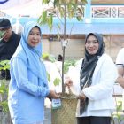 Pemerintah Kabupaten Tanah Bumbu (Pemkab Tanbu) meneguhkan komitmen penghijauan dengan menyerahkan bibit tanaman kepada 12 Kecamatan dan beberapa Desa. (Foto: Istimewa)