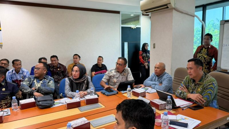 Bupati Kotabaru Muhammad Rusli, S. Sos melakukan audiensi dengan Direktur Perencanaan, Evaluasi dan Informasi Pembangunan Daerah Ditjen Bina Pembangunan Daerah, Kementerian Dalam Negeri RI. (Foto: Istimewa)
