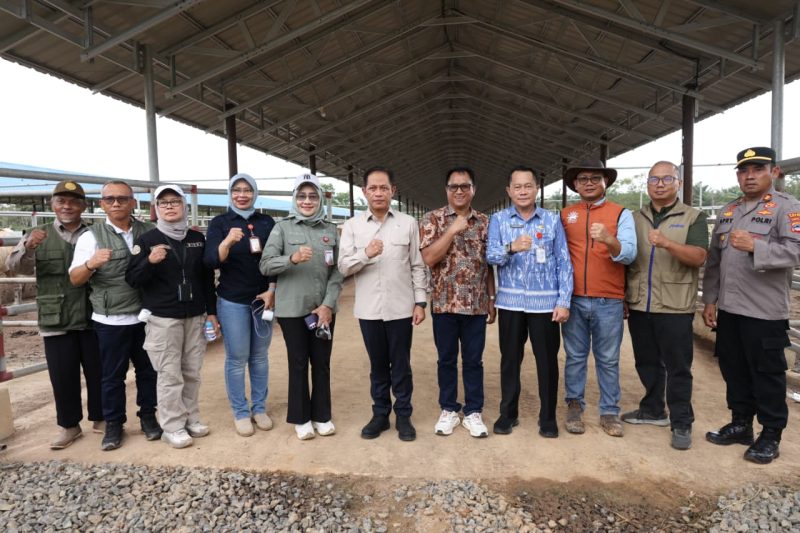 Wakil Menteri Koordinator (Wamenko) Bidang Pangan RI, Hanif Faisol Nurofiq meninjau Kawasan Swasembada Pangan, Energi, dan Air Nasional (KSPEAN), di Kecamatan Satui. (Foto: Istimewa)