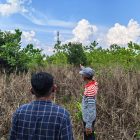 PLN bersama anggota MPA Kameloh Baru meninjau lahan di bawah jalur Saluran Udara Tegangan Tinggi (SUTT) yang menjadi sasaran konversi menjadi ekosistem budidaya madu kelulut di Kelurahan Kameloh Baru, Palangka Raya, Selasa (21/7)