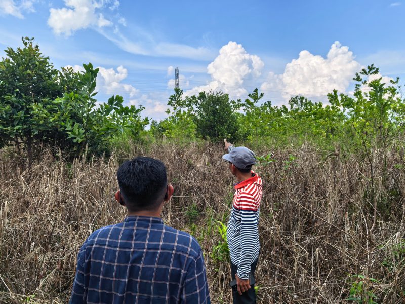 PLN bersama anggota MPA Kameloh Baru meninjau lahan di bawah jalur Saluran Udara Tegangan Tinggi (SUTT) yang menjadi sasaran konversi menjadi ekosistem budidaya madu kelulut di Kelurahan Kameloh Baru, Palangka Raya, Selasa (21/7)