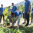 Manager PLN UPT Banjarbaru, Bayu Putra Andrianto saat menanam bibit pohon di kawasan wisata Air Terjun Bajuin melalui Employee Volunteer Program.