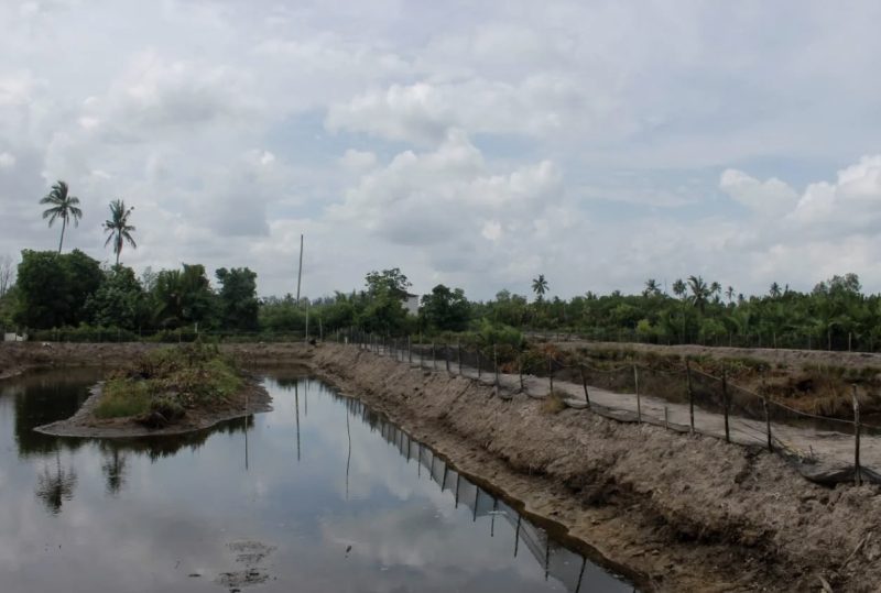 Tanggul tambak kepiting di Desa Muara Pagatan, Kecamatan Kusan Hilir, menjadi salah satu upaya Pemerintah Kabupaten Tanah Bumbu dalam mendukung produktivitas sektor budidaya perikanan. (Foto: Istimewa)