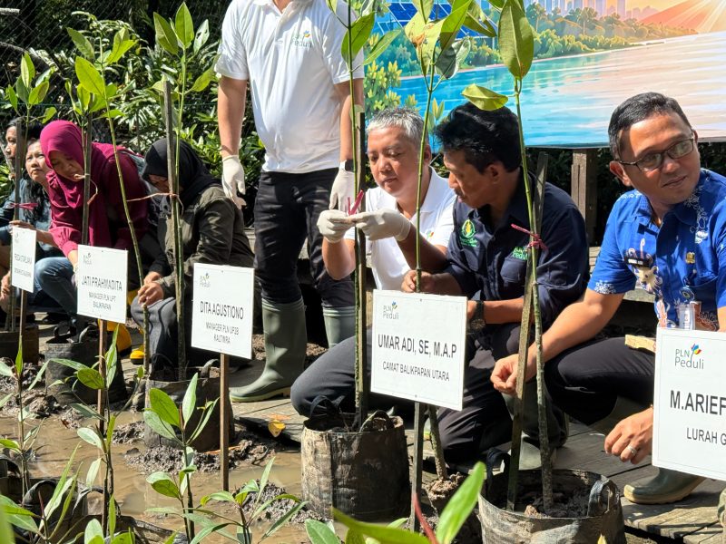 Manager PLN UP2B Kaltimra, Dita Agustiono, bersama para pemangku kepentingan melakukan penanaman mangrove sebagai bagian dari peluncuran program Electrifying Marine di Mangrove Center Graha Indah, Balikpapan, Sabtu (26/7).