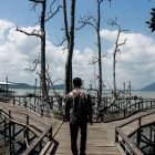 Potensi wisata mangrove di Desa Kersik Putih, Kecamatan Batulicin, terus dikembangkan. (Foto: Istimewa)