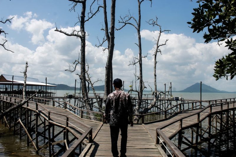 Potensi wisata mangrove di Desa Kersik Putih, Kecamatan Batulicin, terus dikembangkan. (Foto: Istimewa)
