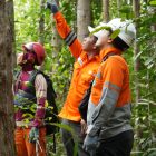 Tim UPT Palangkaraya melakukan pengecekan vegetasi di sekitar jalur transmisi Buntok–Muara Teweh sebagai bagian dari aksi Grebek ROW untuk mencegah potensi gangguan akibat pohon.